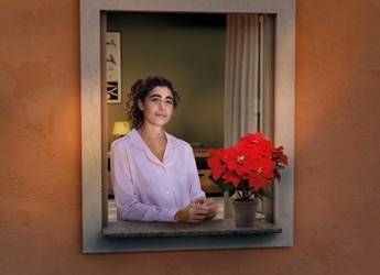 Lotta alle leucemie, tornano le stelle di Natale Ail per la ricerca