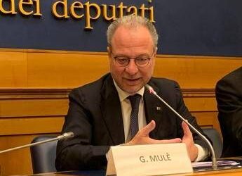 Mulè (Fi): “Istituzioni al fianco di Circular for Kids e dei piccoli pazienti oncologici”