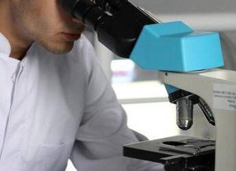 Un Dna antico di 5.500 anni fa riscrive le origini della sifilide