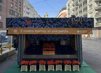 Giornata mondiale malattie rare, un’edicola di fiori per la campagna RareMeansCare