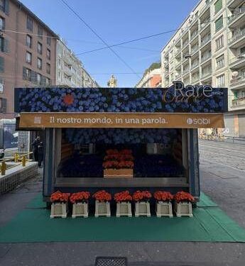 Giornata mondiale malattie rare, un’edicola di fiori per la campagna RareMeansCare