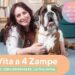 Qvc Italia, debutta nuova categoria per care con uno show su amici a quattro zampe