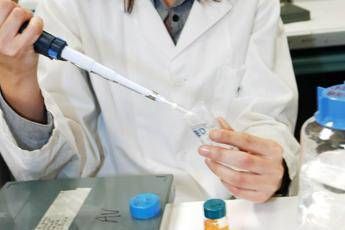 Melanoma, alcune cellule tumorali riescono a ‘nascondersi’ al sistema immunitario