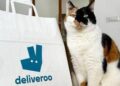 Pet day, su Deliveroo il migliore amico dell’uomo è il gatto, ordini doppi rispetto ai cani