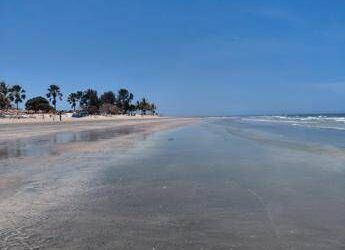 Bimbi al mare, 164 spiagge scelte dai pediatri: ecco le Bandiere verdi del 2026