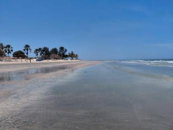 Bimbi al mare, 164 spiagge scelte dai pediatri: ecco le Bandiere verdi del 2026