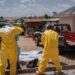 Ebola, identikit del virus Bundibugyo: storia di un nome che fa discutere