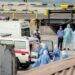 Hantavirus, Bassetti: “Problema si allarga oltre la nave da crociera, purtroppo ne sentiremo parlare”