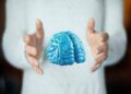 Imparare ad essere altruisti, così il cervello costruisce i comportamenti sociali