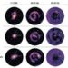 Sos Enattos, studi geofisici confermano idoneità per Einstein Telescope