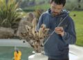 Urban gardening in Europa: i dati dello studio 2026
