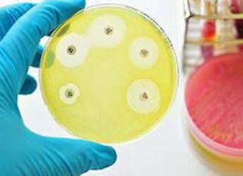 Ai e medicina di precisione per combattere super batteri resistenti, lo studio italiano su quasi 10.000 pazienti