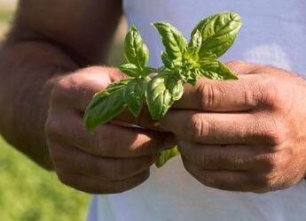 Barilla, nel Rapporto di Sostenibilità le ‘storie’ di un impegno a favore di ambiente e comunità
