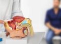 Cancro prostata avanzato, studio Asco conferma vantaggio cognitivo di darolutamide