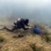 Findus rafforza l’impegno per la tutela del mare, lotta a plastiche e ripristino posidonia oceanica