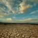 Il ricercatore del Cnr: “Tra clima e consumo del suolo in Italia è allarme biodiversità”