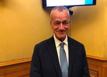 Malattie rare, Girelli (Pd): “Ascoltare clinici e pazienti Egpa per fare norme realistiche”