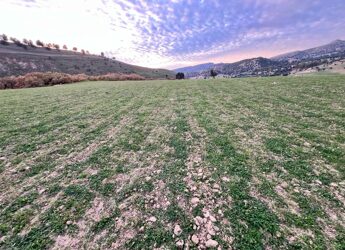 Masini (Coldiretti): ”piano invasi e innovazione sui campi contro rischio desertificazione”