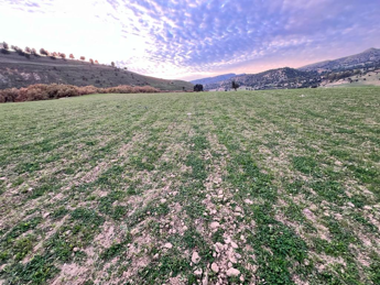 Masini (Coldiretti): ”piano invasi e innovazione sui campi contro rischio desertificazione”