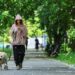 Obbligo di lavare la pipì del cane in strada, Bassetti: “Dal punto di vista scientifico non serve a nulla”