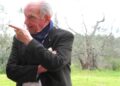 Olio, Borzatta (I&P): “Nella Tuscia l’evo si riscopre tra innovazione, contaminazioni e comunità”