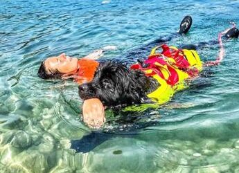Sics a lavoro, i guardiani a quattro zampe del mare