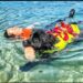 Sics a lavoro, i guardiani a quattro zampe del mare