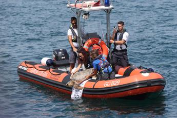 A Marina di Ravenna torna la ‘Festa della cozza’