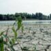 Imprese e water risk, rischio elevato ma scarsa percezione