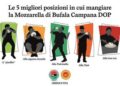 In estate aumenta voglia di Bufala Campana Dop, ecco le 5 ‘posizioni’ in cui mangiarla per gustarla al top