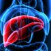 Mash, esperti a confronto su importanza diagnosi per patologia epatica sottovalutata