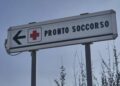 Morso di zecca e rischio encefalite, Bassetti: “Grave infezione virale, massima attenzione”