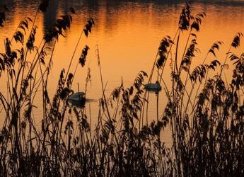 Natura, 1.048 le aree protette in Italia