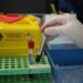 Sanità, nuovo tariffario, Medicina di laboratorio: “Oltre 70% scelte cliniche dipende da analisi”