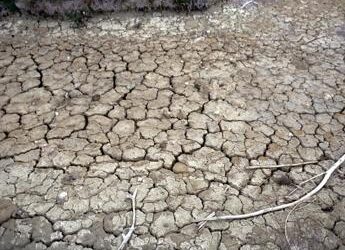Siccità, allarme Anbi: verso emergenza idrica al Nord, fiumi dimezzati﻿