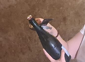 Vino: in Champagne vendemmia 2026 la più anticipata di sempre, sfida cambiamenti climatici e mercati