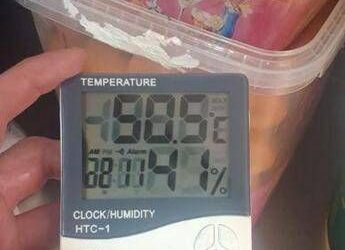 Agenzia lavoro Restworld lancia allarme, nelle cucine si arriva anche a 51 gradi, centinaia segnalazioni