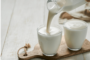 Alimenti, studio UniFi sui benefici dei lieviti del kefir