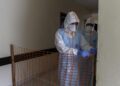 Dall’Ebola alla Dengue, la mappa dei focolai dell’estate 2026