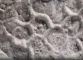 Il mistero del Paleodictyon: ecco chi disegna esagoni nei fondali marini da mezzo miliardo di anni