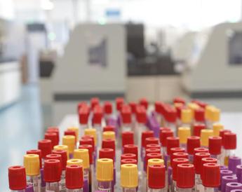 Malaria in aeroporto in Germania, gli esperti: “Campanello d’allarme, ma il rischio resta contenuto”