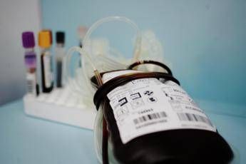 Emergenza sangue in Italia, chi può donarlo e ogni quanto