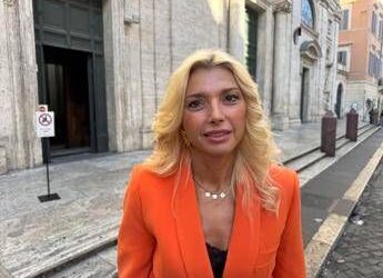 Eu Screening Week, Murelli (Lega): “Urge piano screening cardiovascolare”