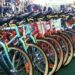Mobilità, meno emissioni e più alberi con ‘Magis bike Challenge’