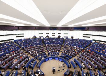 Una questione di fiducia. Tredici eurodeputati tedeschi leggono le ultime elezioni