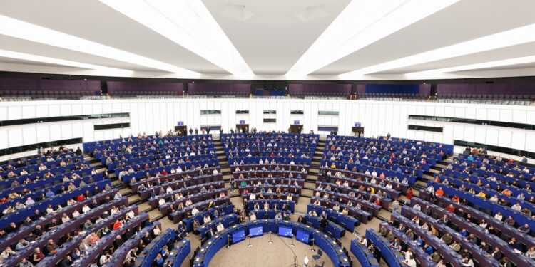 Una questione di fiducia. Tredici eurodeputati tedeschi leggono le ultime elezioni