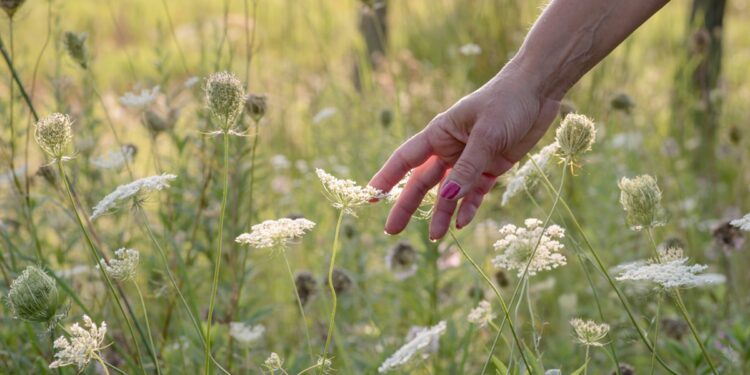 ‘Giù le mani dalla Natura’: oltre 1,25 mln di firme contro l’indebolimento delle norme green