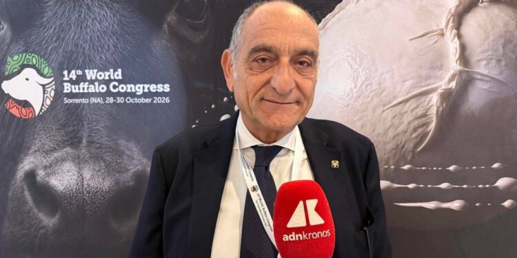 Campanile (Buffalo Federation), “Robotica e genomica cambieranno l’allevamento”