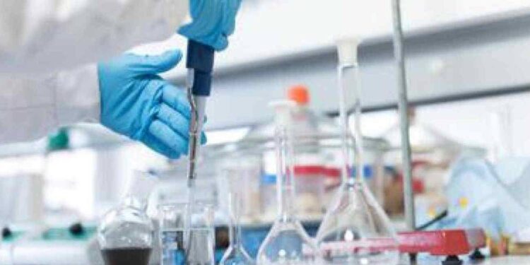 Cancro al seno iniziale, ribociclib riduce del 20% il rischio di morte a 6 anni