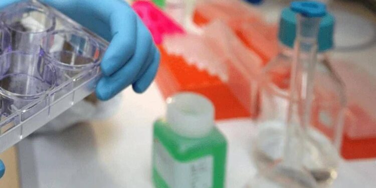 Cancro alla vescica, Berardi (Aiom): “Sangue nelle urine segnale da non sottovalutare”